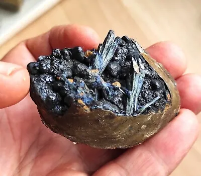 Amazing Green-black Vivianite On Black Psilomelane In The Shell!!! • $139