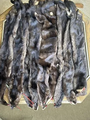 Wild Mink Pelt - Commercially Tanned Mink Fur For Crafts Or Display (per Each) • $42.95