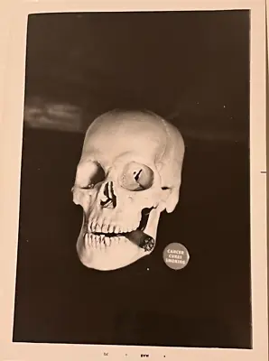 Vintage Cancer Cures Smoking Skull With Cigar Photo • $12.95