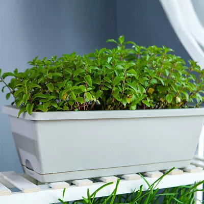  Plastic Vegetable Pot Pots For Indoor Plants Flower Rectangular Planter Railing • £13.09