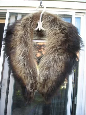 #X48  Sweet Raccoon Collar 44  In Center Of The Fur Collar 40  Long Near Neck • $99.99