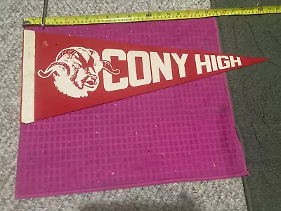 VINTAGE Coney High School Augusta Maine ME PENNANT Banner FLAG Rams - SHIP FAST • $19.69