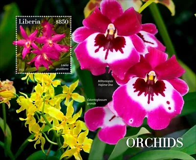 Orchids MNH Stamps 2022 Liberia S/S • $15.60