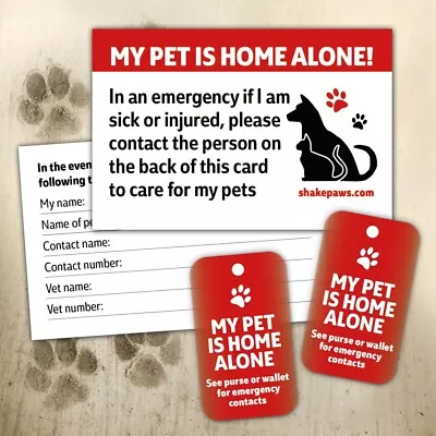 Home Alone Pet Safety Cards & Fobs Set – For Dogs Cats Rabbits ICE • £3.99