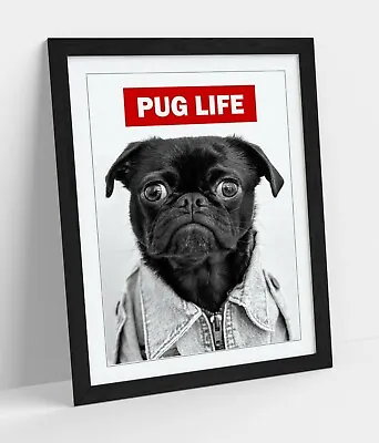£8.99 • Buy Pug Life -framed Poster Wall Art Print Artwork- Black & White