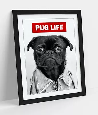 £8.99 • Buy Pug Life -framed Poster Wall Art Print Artwork- Black & White