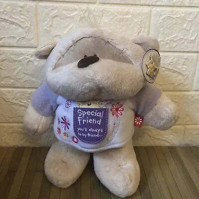 £10 • Buy Fizzy Moon Bear Plush Special Friend  With Tags 10.5 Inches Tall Great Condition