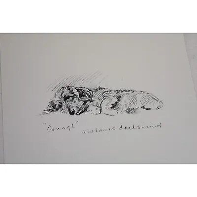 Lucy Dawson Dog Print Dachshund Wire Haired Oonagh 90541 • $18