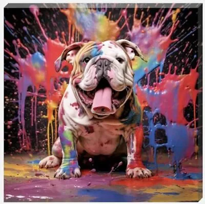 Paint Splash Bulldog Dog Wall Art Canvas Perfect For Bedrooms/Bathrooms/Kitchen • £18.62