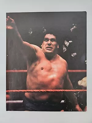 Andre The Giant WWF WWE Vintage Print • $5.99