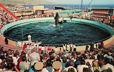 Postcard ~ Marineland Of The Pacific CA ~ Whale Show At The Pool Stadium • $1.69