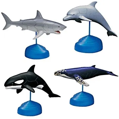 3D Egg Puzzle Dolphin/Orca/Humpback Whale/Great White Shark Model Toy Kits • £9.39