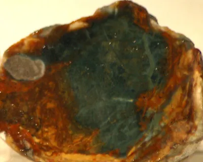 Morrisonite Picture Porcelain Jasper Lapidary Faced Rough 3 Oz (85 Grams) • $17.99