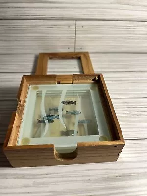 Smashing Glass Coasters W/Abalone Fish-4 & Wooden Box- Made In New Zealand • $8.50