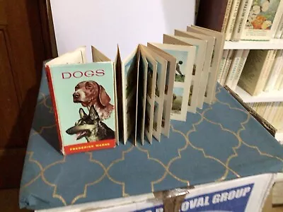 Observers Book Related Zig Zag Dogs • £24.99