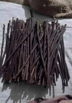 Fresh Organic Olive Miswak Sticks (Zaitoon) • £35.99