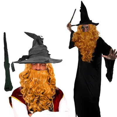 Wizard Cloak With Blonde Wig And Beard Set Costume Magical Film Prof Fancy Dress • £12.99