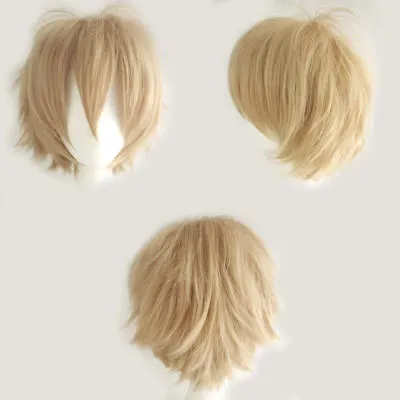 UK Male Men Cosplay Full Hair Wigs Short Layer Straight Wave Heat Resistant Wig • £14.74
