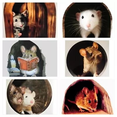 £2.99 • Buy Mouse Holes Skirting Board Wall Art Funny Sticker Vinyl Decal Mice Home  
