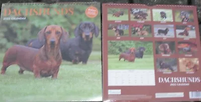 DACHSHUNDS Calendar 2022 Dog Breed Full Year Wall Deluxe  • £4.99