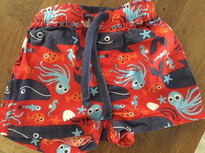 £5 • Buy Excellent Condition FRUGI Swimming Shorts Set  0-3 Months & 3-6 Months