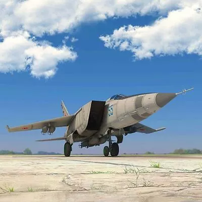 ICM 1/48 MiG-25 RB Soviet Reconnaissance Plane • $121.99