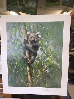 Limited Edition Signed Print ‘Koala’ By David Shepherd With Full COA • £110