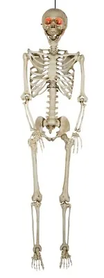 5'5  Halloween Poseable Human Size LED Lighted Skeleton Haunted Party Prop Decor • $63.99