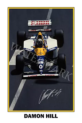 $27.85 • Buy Damon Hill Signed 12x18 Inch Photograph Poster- Top Quality F1 World Champion