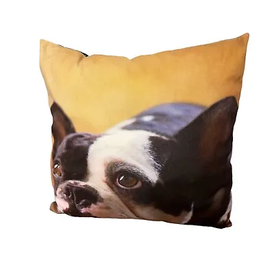 $22.86 • Buy French Bulldog 16x16x6 Inches Photo Throw Bed Couch Pillow Dog Big Eyes Decor