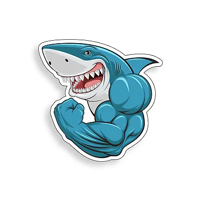 Muscle Shark Sticker Workout Gym Male Laptop Cup Car Vehicle Window Bumper Decal • $2.95