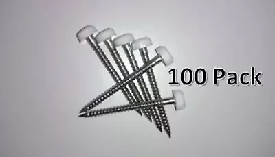 £4.89 • Buy 100 X 30mm White Polytop Plastic Headed Pins Poly Top - Stainless Steel