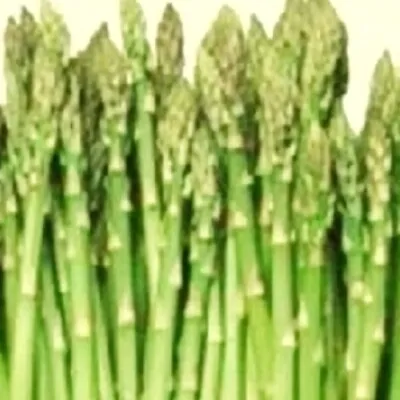 Mary Washington Asparagus Seeds | NON-GMO | Heirloom | Fresh Garden Seeds • $1.60