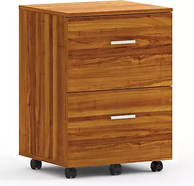 Maxtown 2 Drawer Mobile File Cabinet Mobile Lateral File Cabinet With Storage  • $135.93
