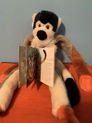 Tangerine Press Tag-Along Tails Long Legged Squirrel Monkey Stuffed Plush & Book • $13