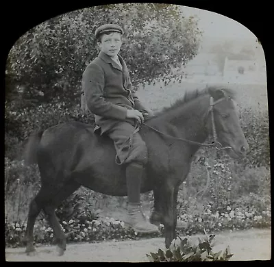 YOUNG BOY ON A PONY C1900 PHOTO Magic Lantern Slide HORSE RIDING • £10