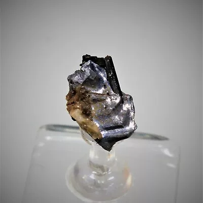 $31 • Buy MOLYBDENITE A Rare Mineral From Mont Saint-Hilaire, Quebec. #4050