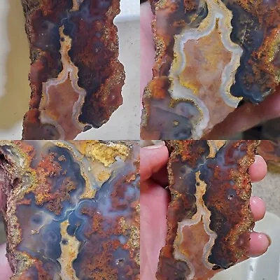 Woodward Ranch Sagenite Plumes Tubes  Banded Agate Alpine Texas 271g Rough • $89