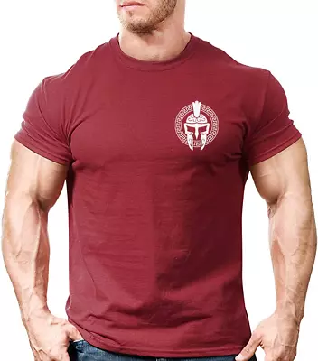 Spartan Pattern LB Gym T Shirt Mens Gym Clothing Training Top Bodybuilding Tee • £8.99