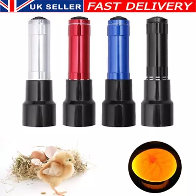 UK LED Egg Candler Cool Light Egg Candler Tester Egg Candling Lamp Led Light New • £6.36