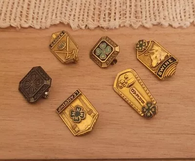 Vintage Lot Of 6 4-H Club Pins Clothing Bread Swine Garden Leadership Indiana • $15