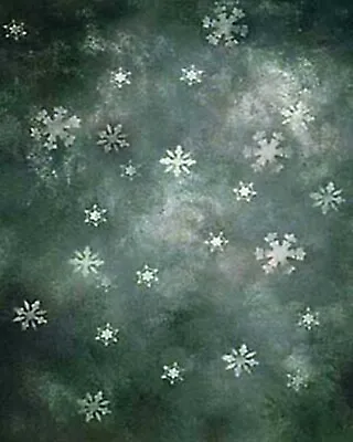 Christmas Winter 10'x20' Muslin 100% Hand-Painted Photo Background 33-379 • $95