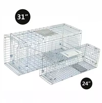 24 /32  Live Animal Trap Cage Humane Rabbit Raccon Skunks Trap For Little Pets • $35.58