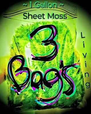 Three (3)  1 GALLON BAGS  ~ Living Sheet Moss Terrariums Bonsai Trees & More! • $38.14