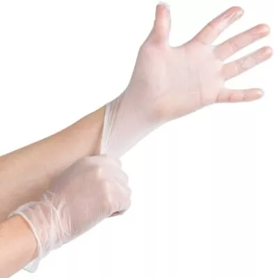 100/box Vinyl Gloves Powder Free Examination Gloves Small Medium Large XL CLEAR • $7.99