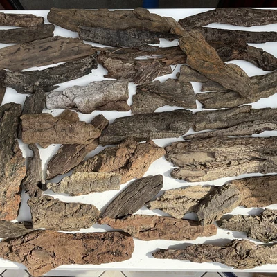 £4.99 • Buy Sea Worn Driftwood Tree Bark Pieces For Crafts Nautical Display Vivarium