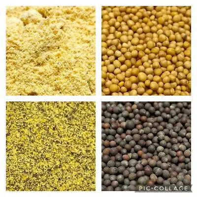 Mustard Seed - Dried Yellow Spicy Brown & Black Whole And Ground Indian Spices • $5.37