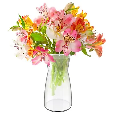 HEFTMAN Glass Flower Vase 20cm Tall Handmade Clear Floral Decorations Bouquets • £9.99