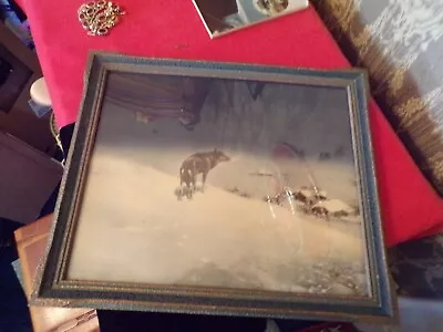 Vintage Lone Wolf Litho Winter Scene In Frame • $65