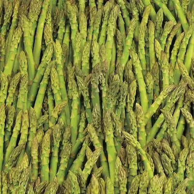 Asparagus Seeds 100+ Mary Washington Vegetable Garden NON-GMO USA FREE SHIPPING • $2.55